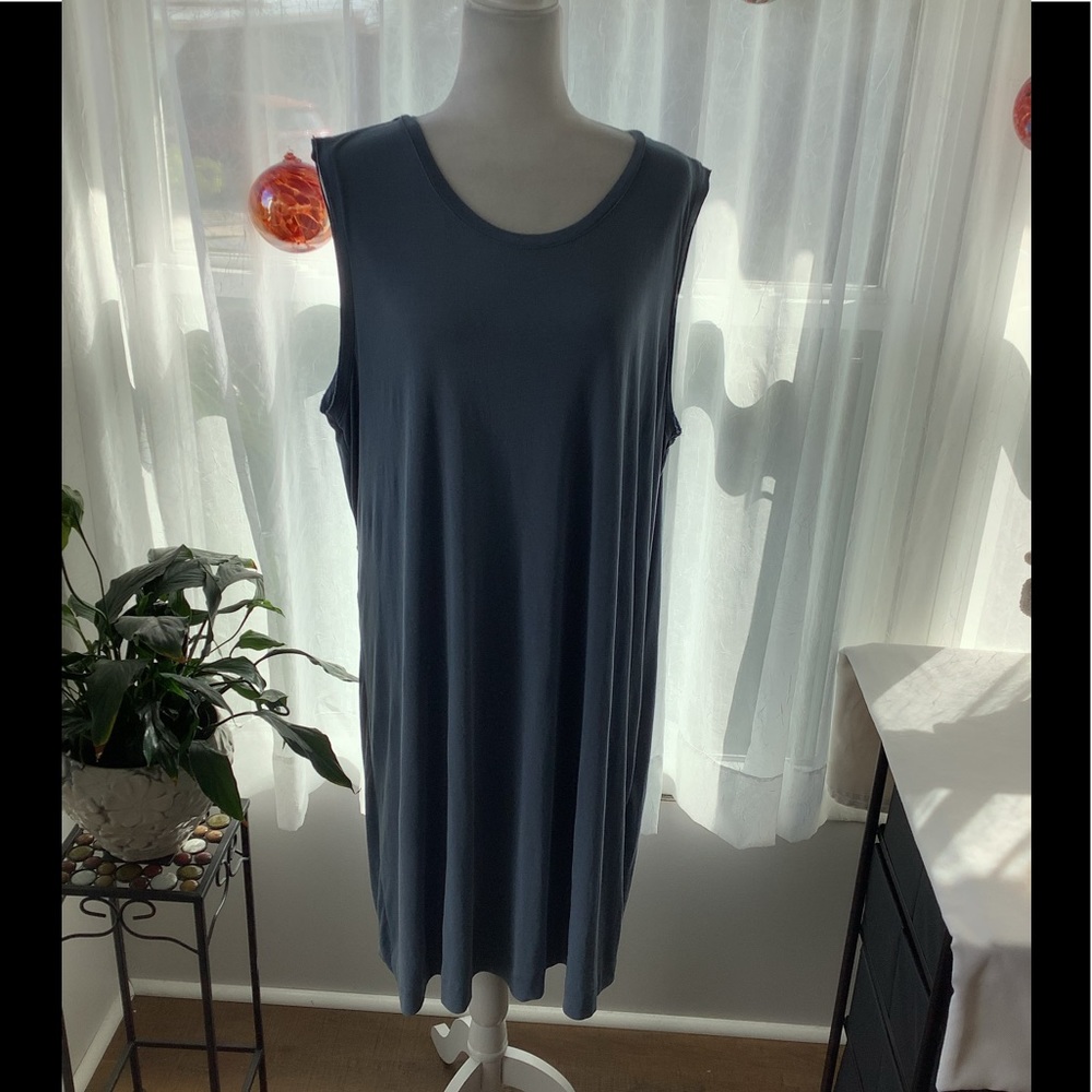 Rachel Roy dress